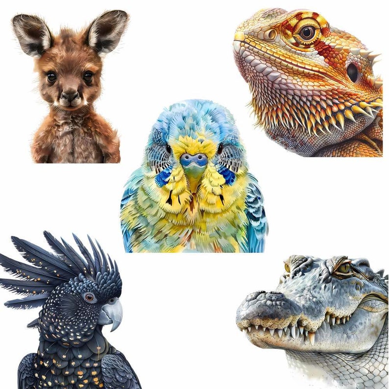Pu&ograve; includere: Un'illustrazione colorata con cinque animali diversi: un canguro, un drago barbuto, un parrocchetto, un cacatua nero e un alligatore. Gli animali sono tutti rivolti in avanti e hanno un aspetto realistico.