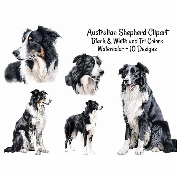 Australian Shepherd Watercolor Digital Downloads, 10 Black White TriColor Tri Color Dog Clipart , Printable Transparent Background,