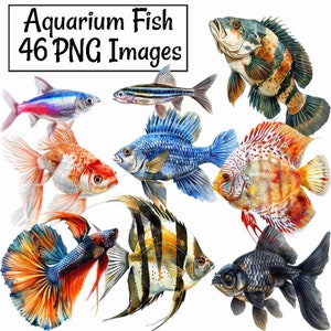 Aquarium Fisch Aquarell Clipart Digitale Downloads, 30 Tropische Fische Haustier Tank, Aquarium Goldfisch Clipart, Süßwasser Angelfish Beta Pet Store