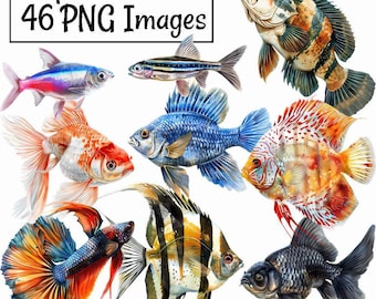 Descargas digitales de imágenes prediseñadas de acuarela de peces de acuario, 30 peces tropicales para mascotas, imágenes prediseñadas de peces de colores para pecera, peces ángel de agua dulce, tienda de mascotas Beta