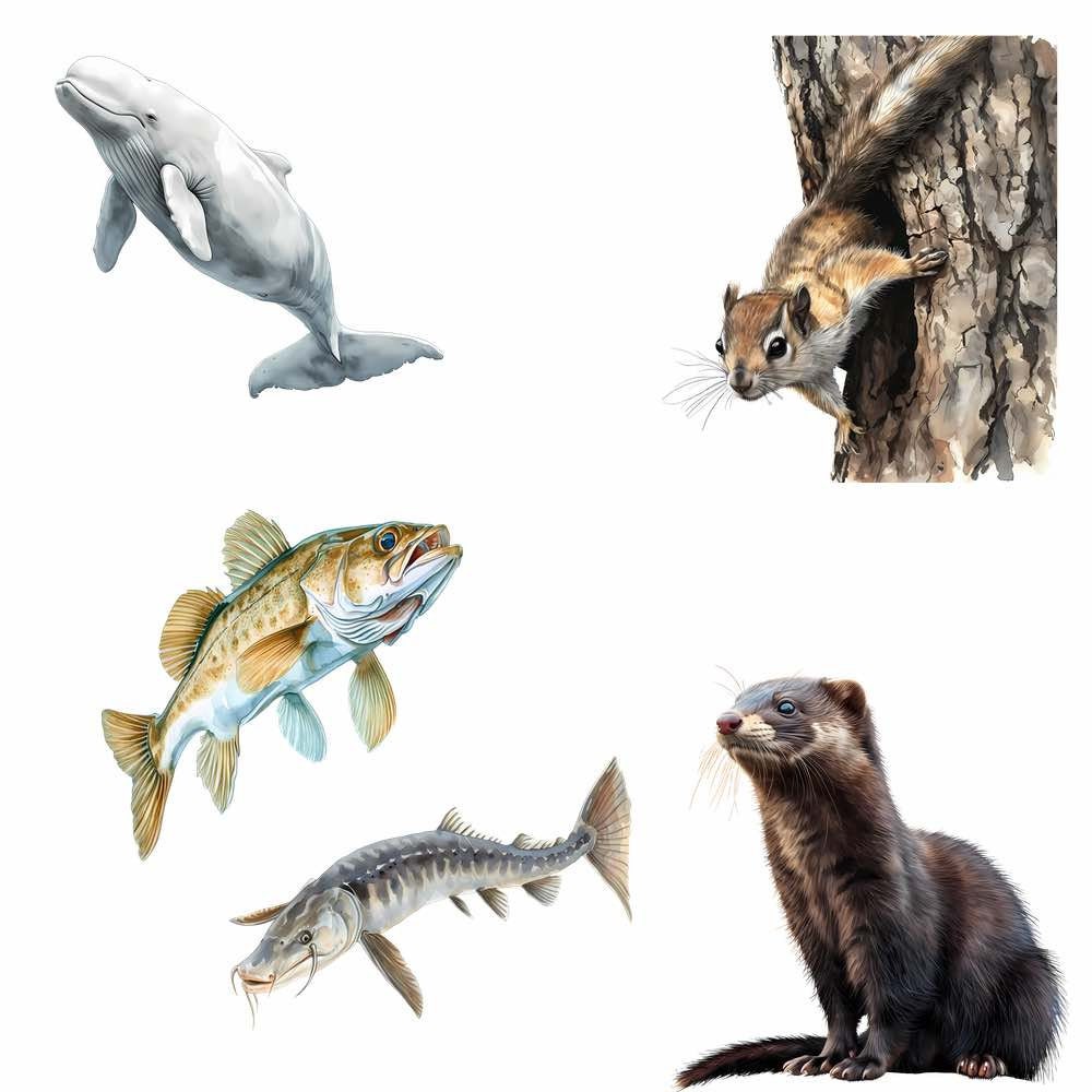 アラスカの野生動物のクリップアート 水彩画 デジタルダウンロード 森林 北アメリカ 動物 高品質オーバーレイ、2つの風景、シャチ ホッキョクグマ -  Etsy 日本