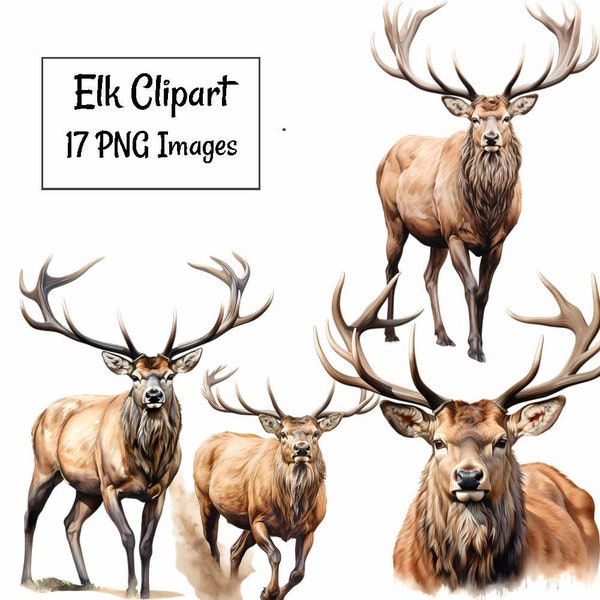 Elk Watercolor Clipart Digital Downloads, 17 Deer Stag Antlers Woodland Animal High Quality Overlay  Transparent Background