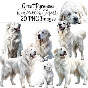 Pyrenäen Aquarell Clipart Hunderasse Kunst Tier Illustration Digital Download Pyrenäen druckbare Clipart Basteln Dekor Hund