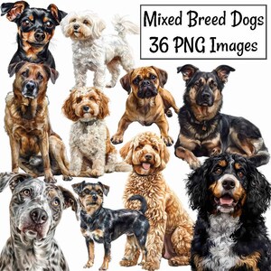 May include: A collection of 36 digital illustrations of mixed breed dogs. The images are in PNG format and feature a variety of dog breeds, including a black and brown chihuahua, a white poodle, a brown and white terrier, a brown and white doodle, a brown and black labrador, a black and brown german shepherd, a brown and white poodle, a black and white bernese mountain dog, and a black and white dalmatian.