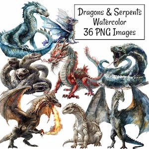 以下が含まれることがあります： ドラゴンと蛇のウォーターカラーイラスト36点のセット。さまざまな色、スタイル、ポーズの画像が含まれています。Dragons & Serpents Watercolor 36 PNG Images.