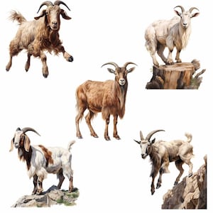 Get Clipart, gårdsgetunge djur akvarell digitala nedladdningar söt get transparent bakgrund PNG högkvalitativ överlägg bild 7