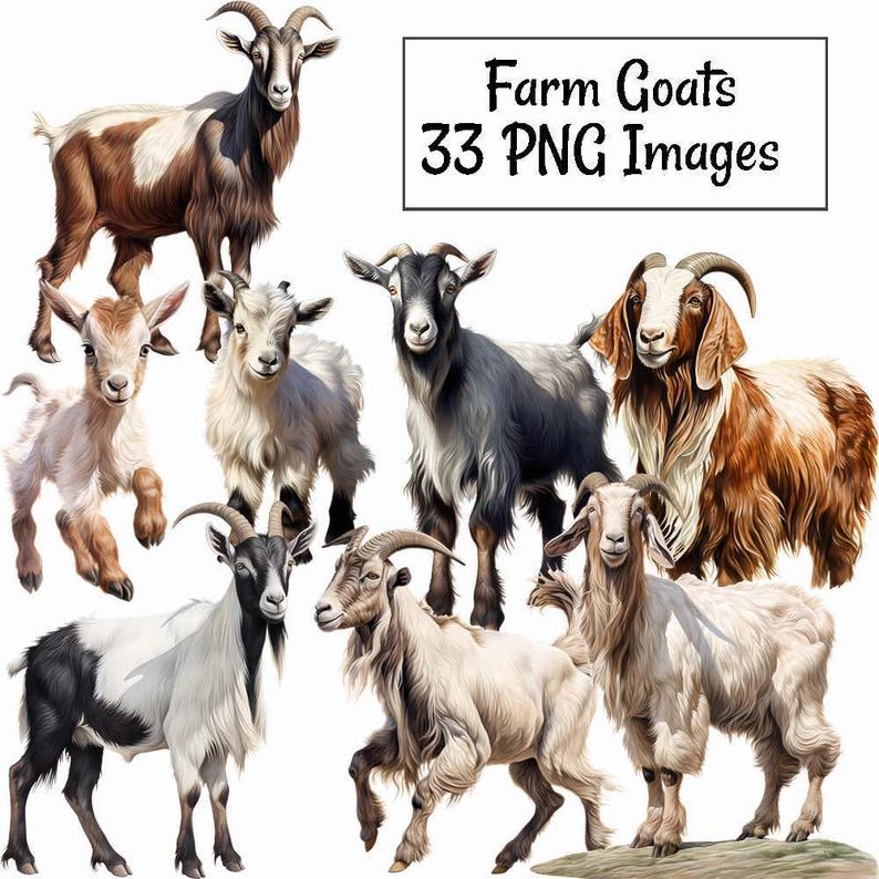 Get Clipart, gårdsgetunge djur akvarell digitala nedladdningar söt get transparent bakgrund PNG högkvalitativ överlägg bild 1