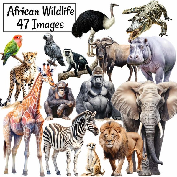 African Animals Clipart Digital Downloads, 47 Wildlife Watercolor Safari Jungle Savanna, Elephant Hippo Rhino Lion Zebra Giraffe Gorilla