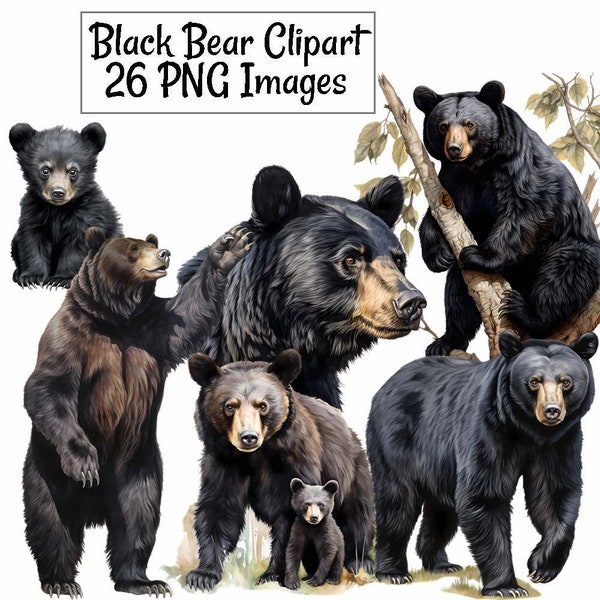 Black Bear Clipart Watercolor Bundle Digital Downloads, 26 American Black Bear Forest Wildlife Woodland Animal, Transparent background