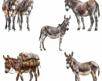 ロバのクリップアートデジタルダウンロード、31種類のPNGロバの品種