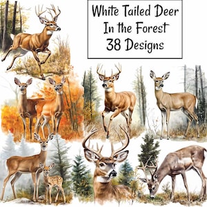 May include: A collage of watercolor illustrations featuring white-tailed deer in a forest setting. The deer are depicted in various poses, with some running and others grazing. The text "White Tailed Deer In the Forest 38 Designs" is displayed.