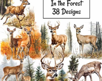 Cervo dalla coda bianca nella foresta Download digitale, 38 Clipart ad acquerello Cervo maschio Cervo Cervo Corna Bosco Alta qualità, Cervo nella foresta