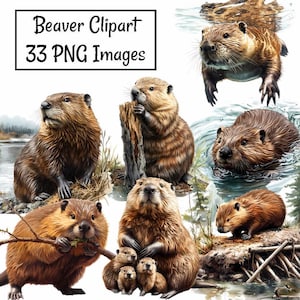 May include: A digital clipart set of 33 PNG images featuring beavers in various poses. The beavers are depicted in a realistic style with brown fur and sharp teeth. Some beavers are shown swimming in water, while others are sitting on logs or rocks. The images are perfect for use in craft projects, scrapbooking, or digital design.