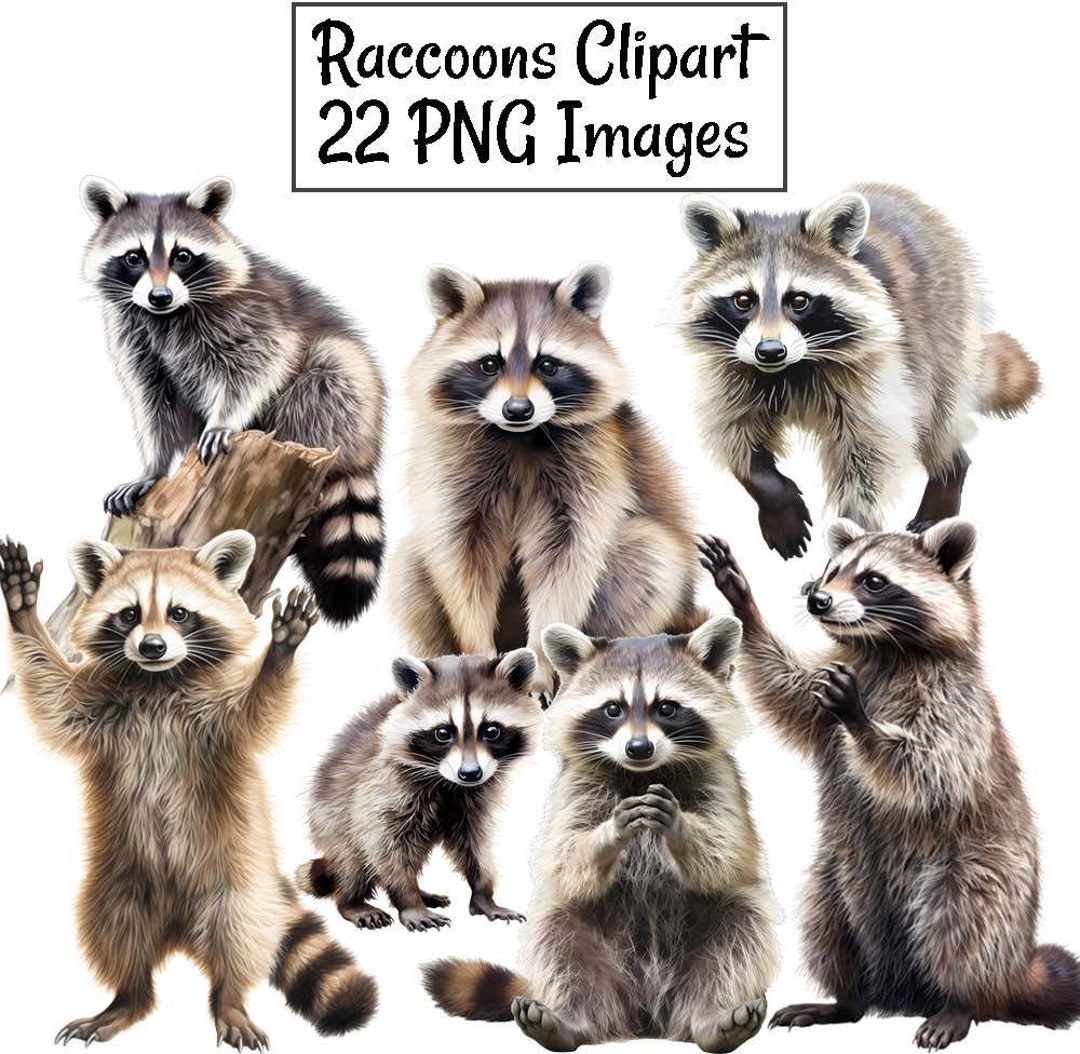 Raccoon Clipart, Watercolor Reptile Digital Downloads, 22 Woodland ...