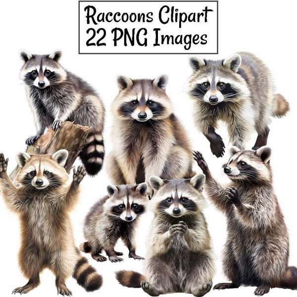 Raccoon Clipart, Watercolor Reptile  Digital Downloads, 22 Woodland Animal Wildlife Cute Baby Raccoon, Transparent background PNG Images