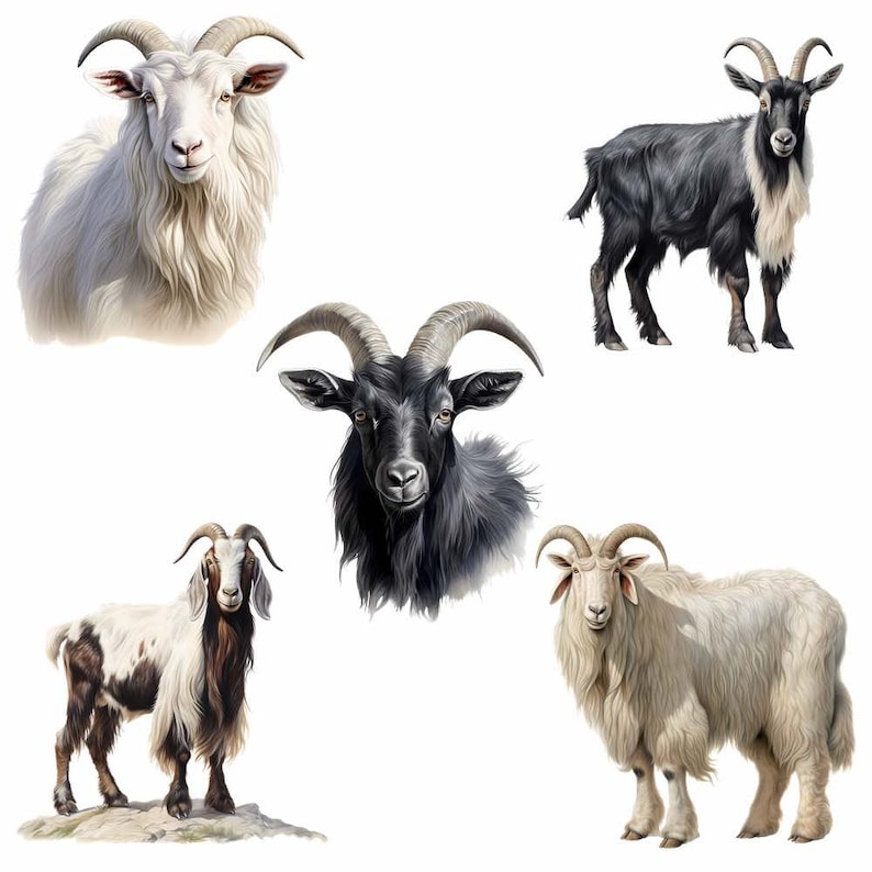 Get Clipart, gårdsgetunge djur akvarell digitala nedladdningar söt get transparent bakgrund PNG högkvalitativ överlägg bild 5