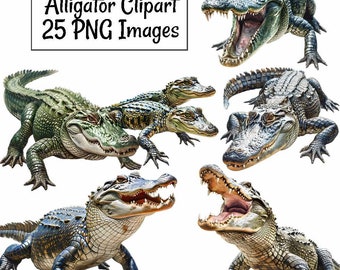 Alligator Watercolor Clipart Digital Downloads Reptile Crocodile Animal Wildlife, Overlay Transparent background, Commercial use