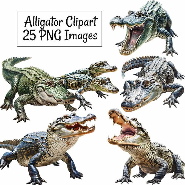 Alligator Watercolor Clipart Digital Downloads, 25 Reptile Crocodile Animal Wildlife, Overlay Transparent background, Commercial use