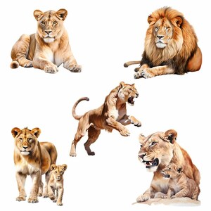 May include: Five lions, including a male lion and a lioness with cubs, are depicted in a watercolor painting. The lions are shown in various poses, including standing, sitting, and lying down. The background is a white canvas.