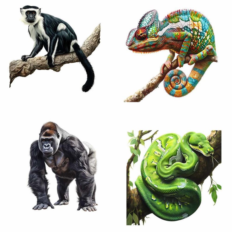 May include: A black and white monkey sitting on a branch, a green snake wrapped around a branch, a green and orange chameleon on a branch, and a black gorilla standing on a white background.