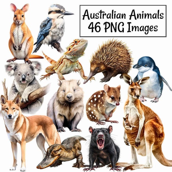 Australian Wildlife Watercolor Clipart Digital Downloads, 46 Outback Australia Animal High Quality, Kangaroo Dingo Koala Cockatoo Wombat