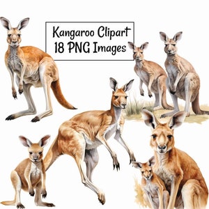 Kangaroo Australian Wildlife Watercolor Clipart Digital Downloads, 20 Outback Australia Animal High Quality, Marsupial Overlay Art