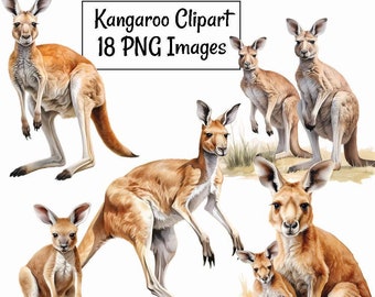 Imagens digitais em aquarela de cangurus, animais selvagens australianos, para download. 20 animais do interior da Austrália em alta qualidade. Arte sobreposta de marsupiais.