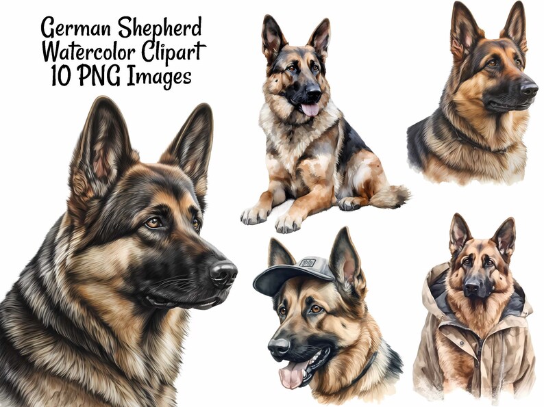 German Shepherd Watercolor Digital Downloads 10 Sublimation - Etsy