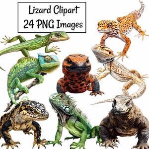 Lizard Clipart, Watercolor Reptile  Digital Downloads  Pet Gecko Iguana Gila Monster Komodo Dragon Tegu Monitor Chameleon, Commercial use