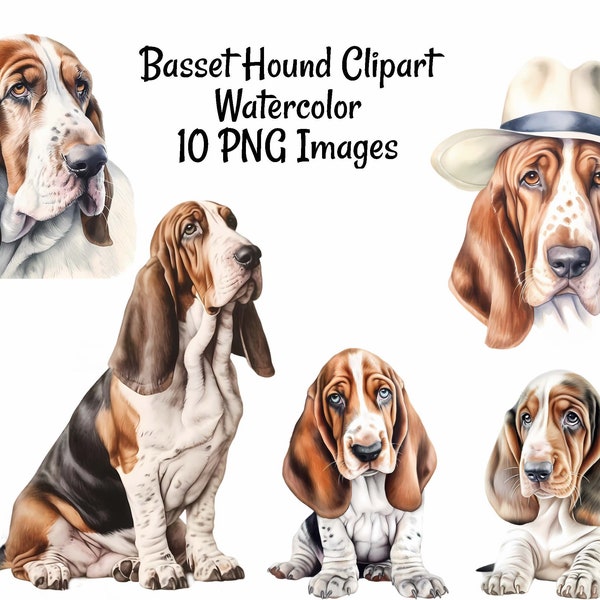 Basset Hound Watercolor Printable Digital Downloads, 10 Overlay Realistic High Quality PNG Dog Breed Clipart , Transparent Background