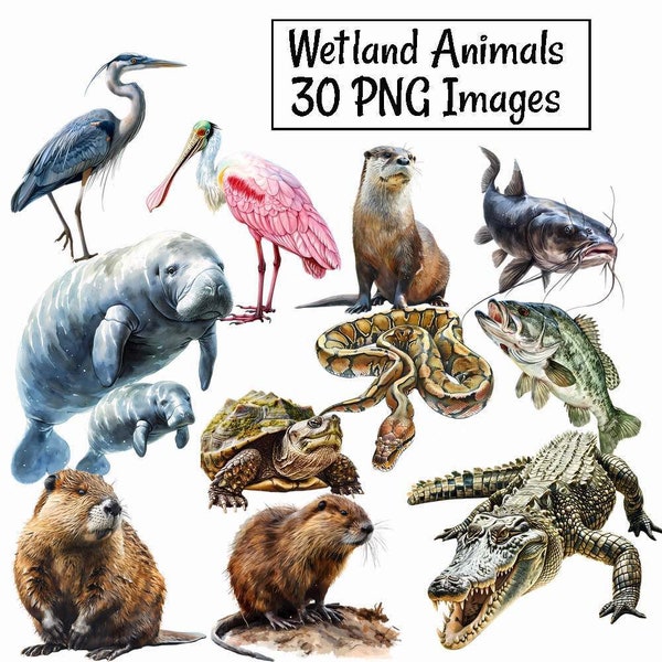 Wetlands Animal Clipart,30 Swamp Bog Wildlife Bundle Watercolor Digital Downloads, March Bog Everglades, Alligator Snake Fish Manatee Birds