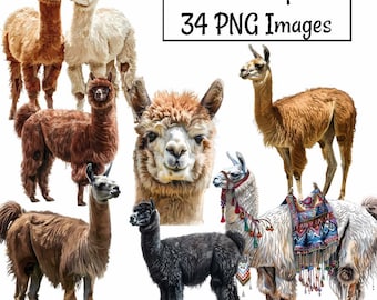 Llama & Alpaca Watercolor clipart Downloads,35 Peruvian Camelids Vicuña Guanaco Overlay Transparent Background South America Wildlife