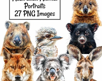 Ritratto di animale australiano Acquerello Clipart Download digitali Asilo nido Outback Australia Fauna selvatica Arte Canguro Dingo Koala Illustrazione