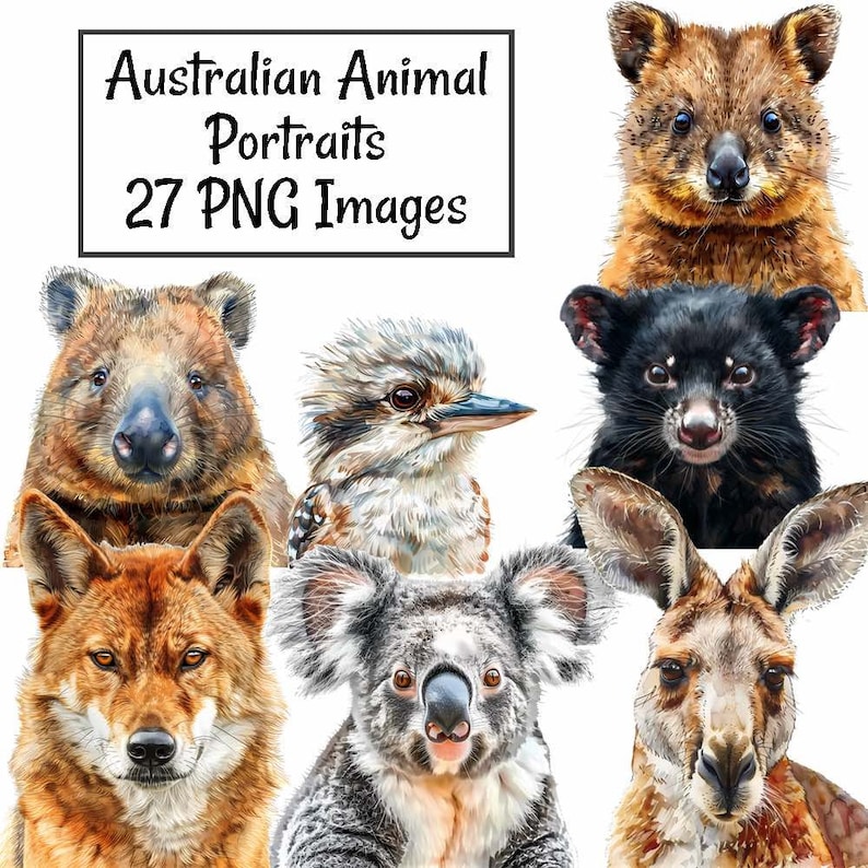 Pu&ograve; includere: Una collezione di 27 immagini PNG con ritratti di animali australiani, tra cui un koala, un canguro, un wombat, un diavolo della Tasmania, un dingo e un kookaburra.