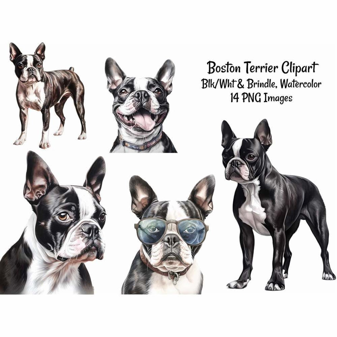 Boston Terrier Umbrella - Watercolor Boston Terrier Umbrella - Watercolor