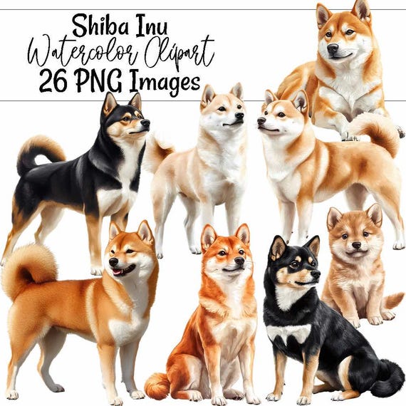 Shiba Inu Dog Watercolor Printable Digital Downloads Overlay High