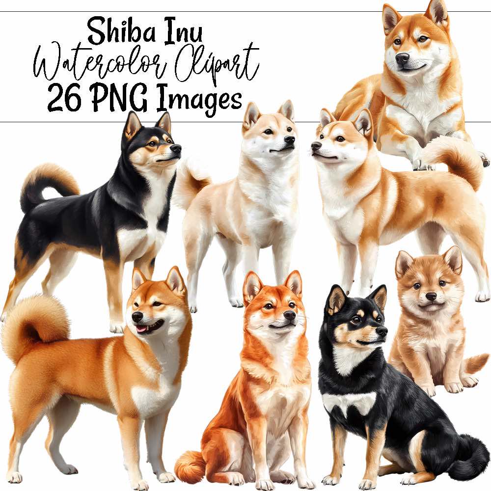 Shiba Inu Dog Watercolor Printable Digital Downloads Overlay High Quality  Realistic Spitz Japan Dog Clipart , Transparent Background