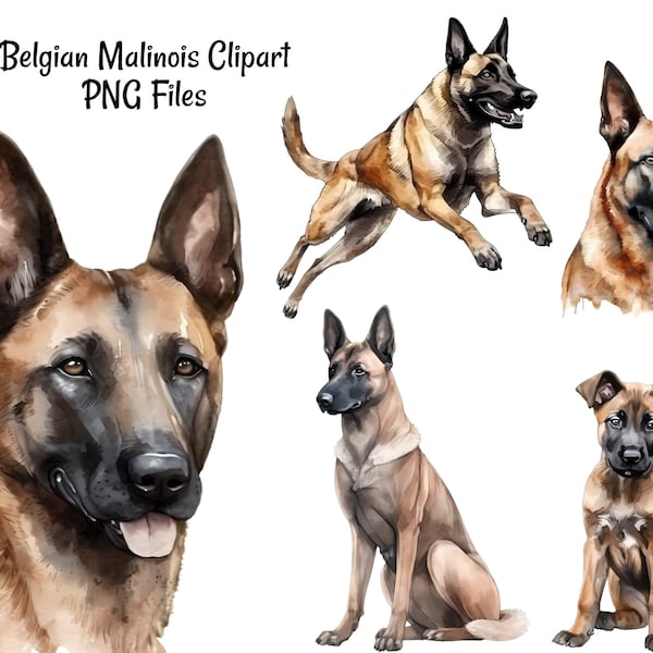 Belgian Malinois Watercolor Digital Downloads, 10 Shepherd Sublimation Dog Clipart , Transparent Background, Art Prints, Shirts, Stickers