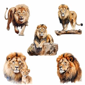 May include: A watercolor painting of five lions. The lions are depicted in different poses, including standing, sitting, and lying down. The painting is set against a white background.