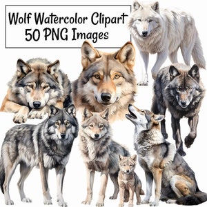 Wolf Watercolor Clipart Digital Downloads  Overlay Art Wildlife Woodland Animal Grey Timber Red Tundra Arctic Ethiopian Wolves