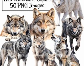 Wolf Watercolor Clipart Digital Downloads  Overlay Art Wildlife Woodland Animal Grey Timber Red Tundra Arctic Ethiopian Wolves