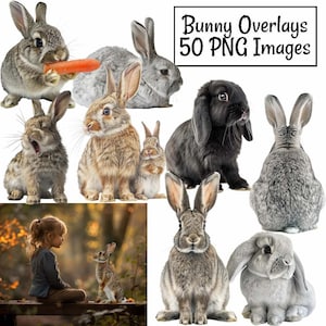 Bunny Overlay  Digital Downloads, 50 Easter Rabbit Photography Real Wildlife Woodland Animal, Lop Ear Bunnies, Clipart, Photograph