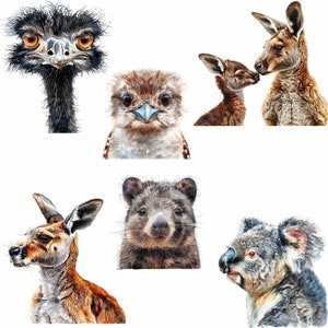 Pu&ograve; includere: Una collezione di animali australiani, tra cui un kookaburra, un em&ugrave;, un koala, un wombat e canguri. Gli animali sono raffigurati in uno stile realistico con dettagli e trame accurate.