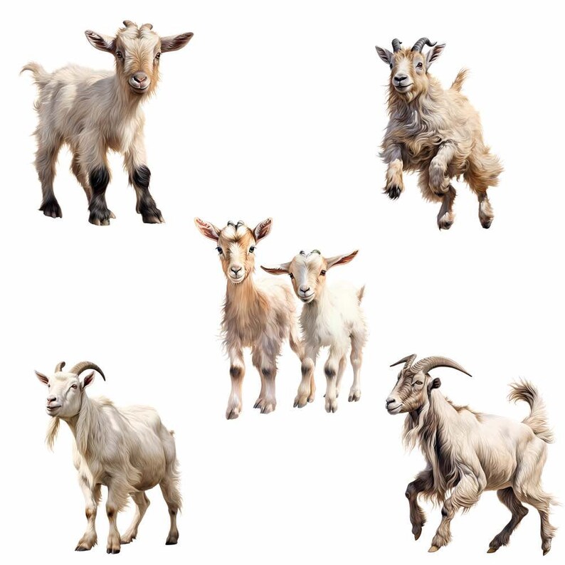 Get Clipart, gårdsgetunge djur akvarell digitala nedladdningar söt get transparent bakgrund PNG högkvalitativ överlägg bild 6