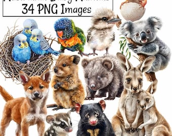 Clipart di cuccioli australiani in acquerello, download digitali, fauna selvatica dell'Outback australiano, cuccioli di canguro, dingo, koala, cacatua, vombato