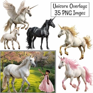 Enhörningsöverlägg, realistiska digitala nedladdningar, fantasihäst, älva, magisk clipart, djurfotograf, riktig PNG, vit pegasus, svart