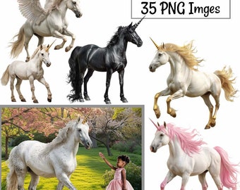 Unicorn Overlay Realistic Digital Downloads, 35 Fantasy Horse Fairy Magical Clipart, Animal Photographer, Real PNG White Pegasus Black