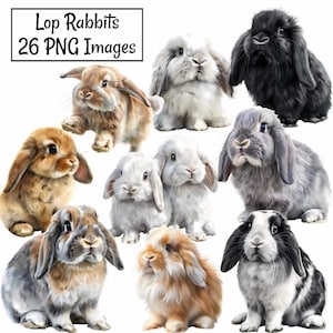 May include: A collection of 26 digital images featuring lop-eared rabbits in various poses and colors. The rabbits are depicted in a realistic style with soft fur and expressive eyes. The images are perfect for crafting, scrapbooking, and other creative projects.