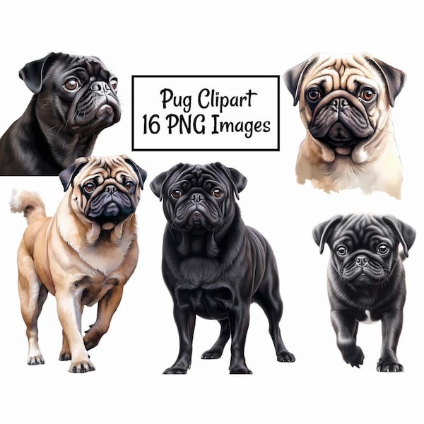 Pug Dog Breed Watercolor Art Digital Downloads, 16 High Quality Clipart overlay Printable , PNG Transparent Background Commercial Use