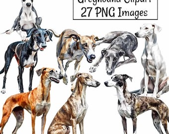 May include: A collection of watercolor-style Greyhound dog illustrations in various poses and colors, including black, white, brown, and brindle. The image includes the text "Greyhound Clipart 27 PNG Images" in a black rectangular box.
